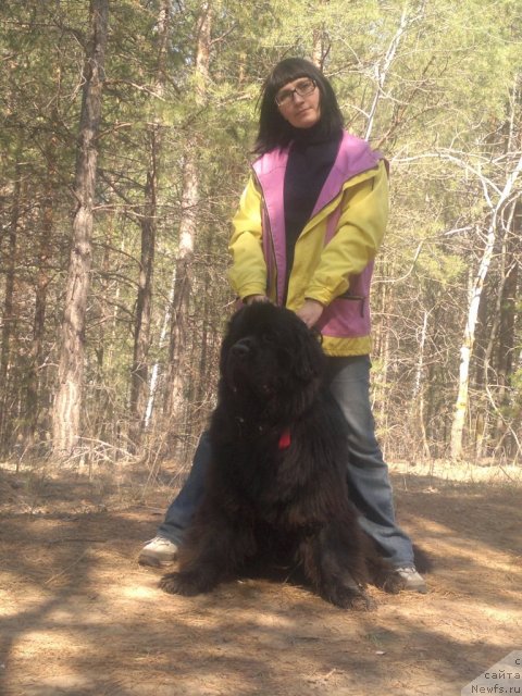 Фотография № 92539