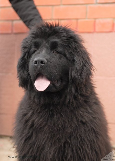 Фотография № 92548