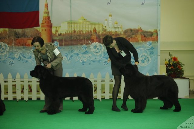 Фотография № 92560