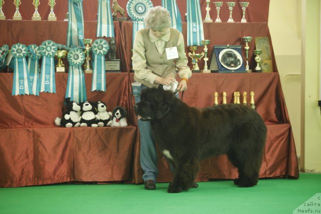 Фотография № 92570