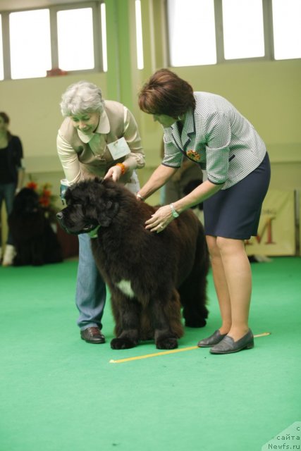 Фотография № 92571