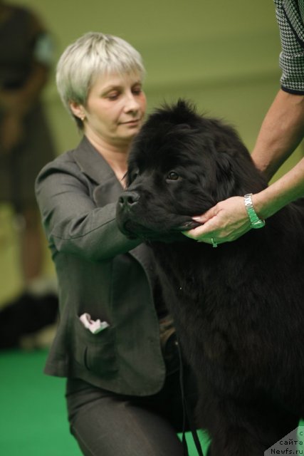 Фотография № 92581