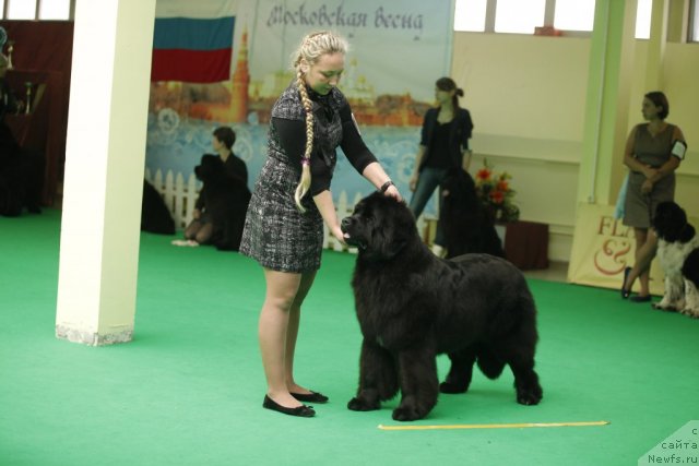 Фотография № 92588