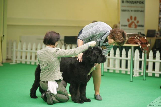 Фотография № 92590