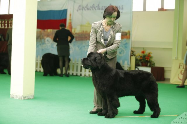 Фотография № 92592