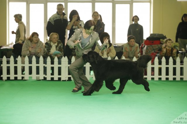 Фотография № 92595