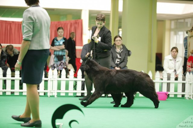 Фотография № 92599