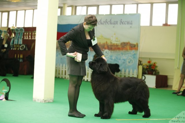 Фотография № 92600