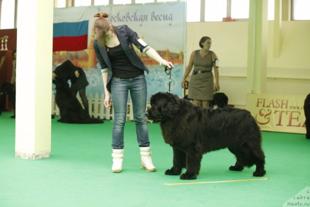 Фотография № 92606