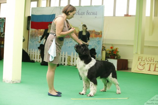 Фотография № 92611