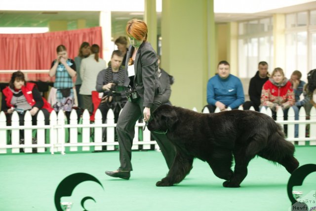 Фотография № 92614