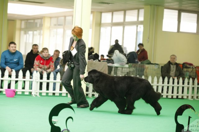 Фотография № 92618