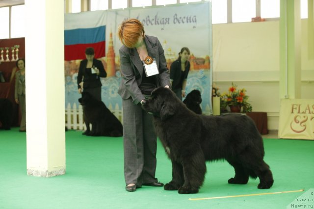 Фотография № 92622