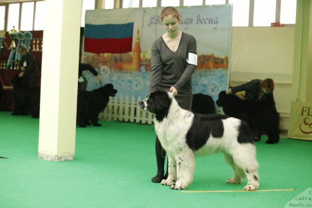 Фотография № 92633