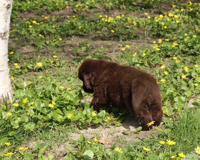 Фотография № 92661