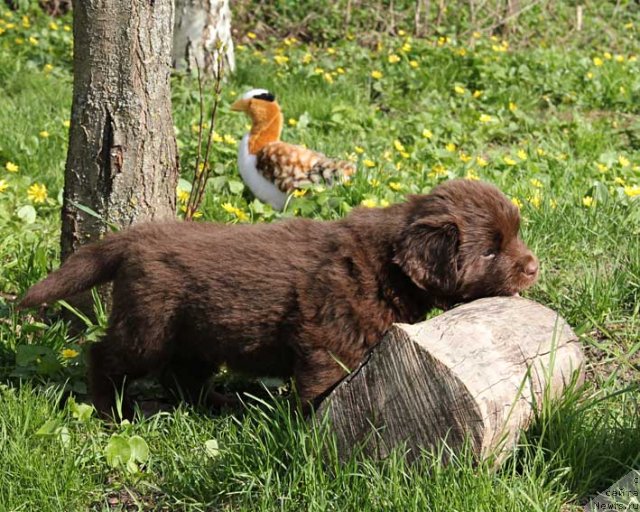 Фотография № 92662