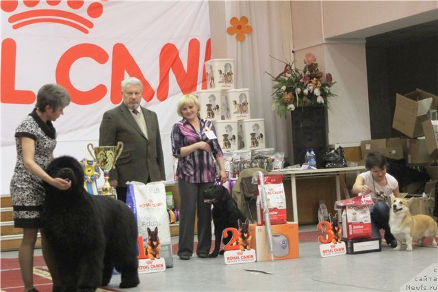 Фотография № 92686