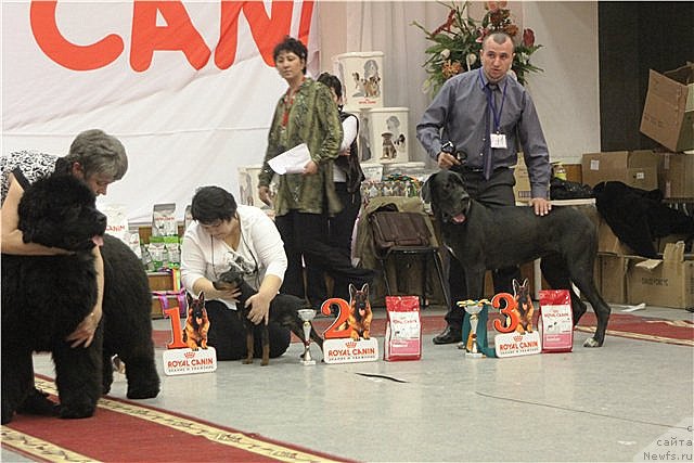 Фотография № 92687