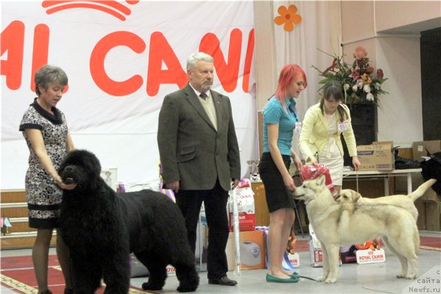 Фотография № 92689