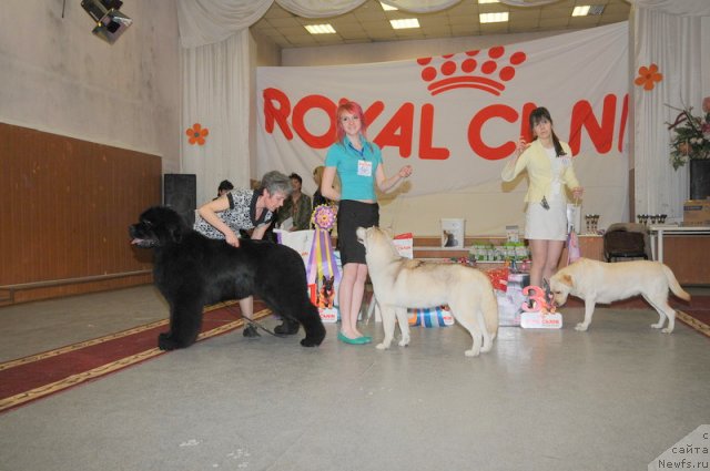 Фотография № 92693