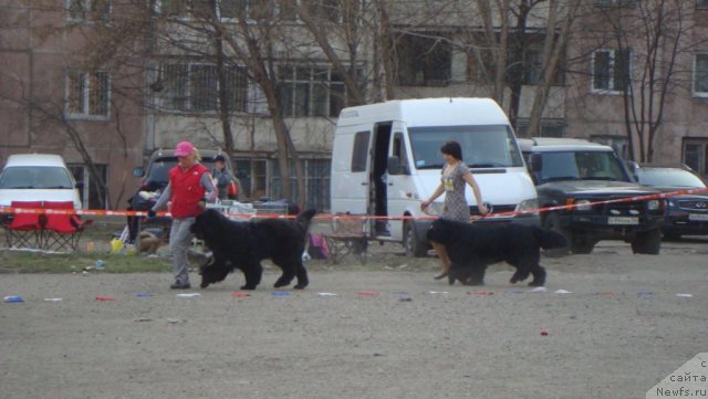 Фотография № 92696