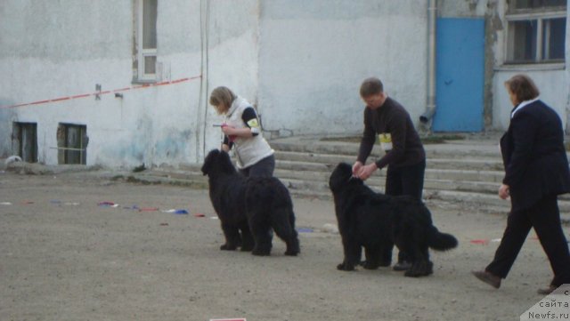 Фотография № 92702