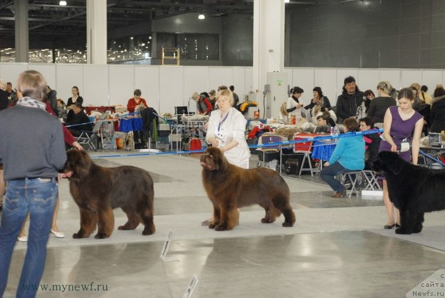 Фотография № 92717