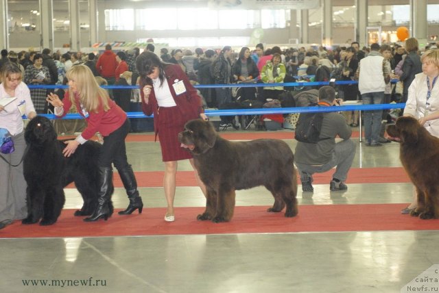 Фотография № 92720