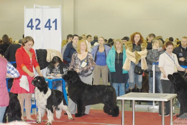 Фотография № 92727