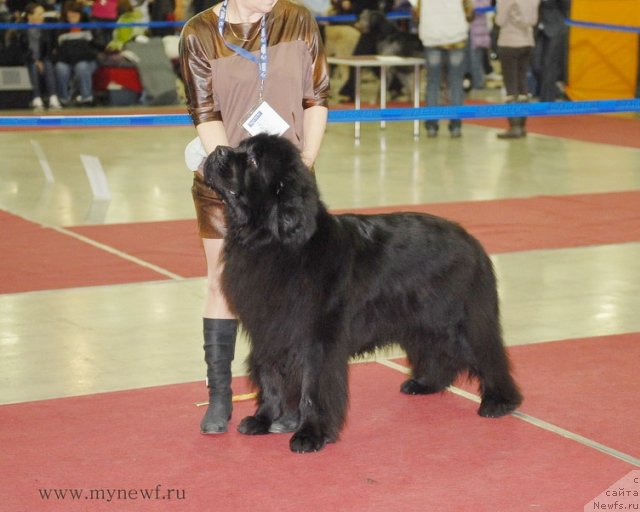 Фотография № 92731