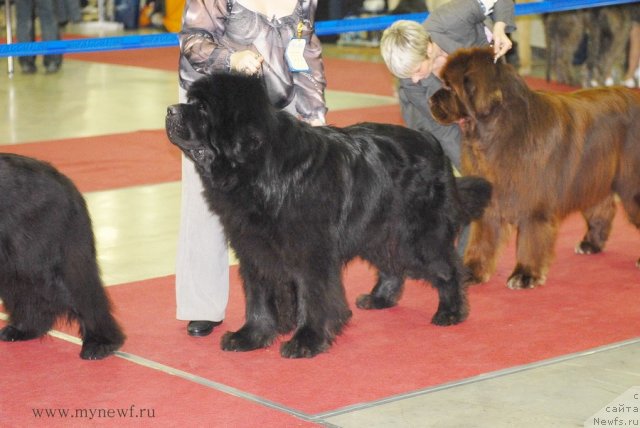 Фотография № 92732