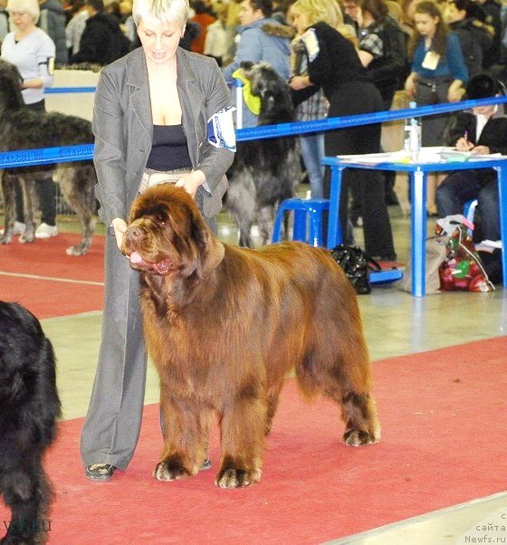 Фотография № 92733