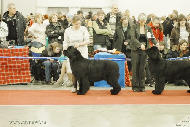 Фотография № 92734