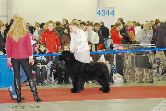 Фотография № 92735