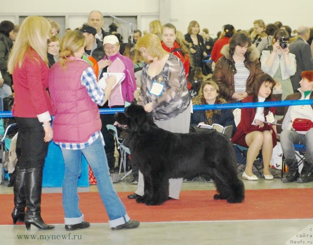 Фотография № 92736