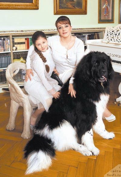 Фотография № 92741