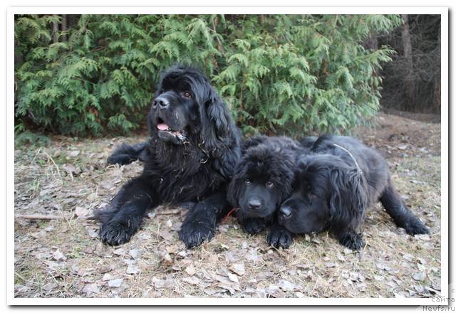 Фотография № 92762