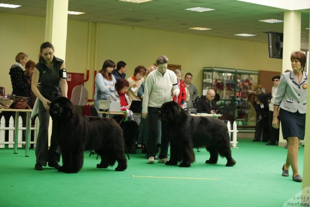 Фотография № 92793