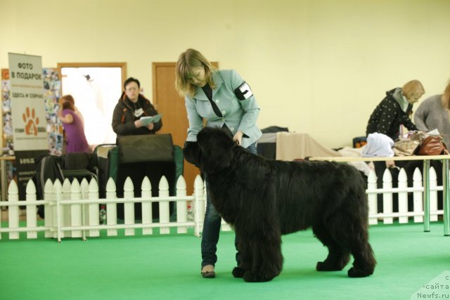 Фотография № 92795