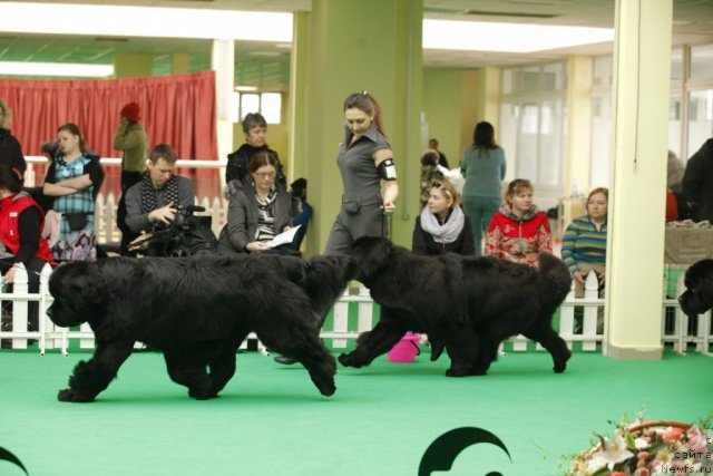 Фотография № 92798