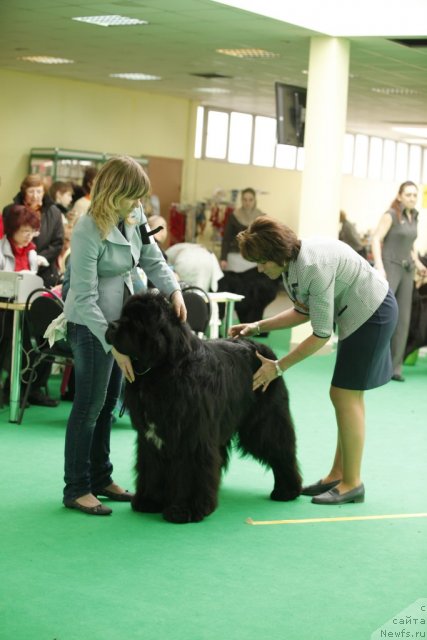 Фотография № 92799