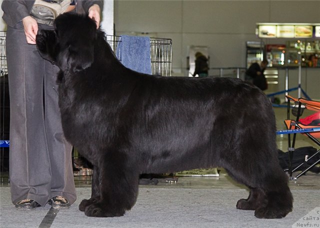 Фотография № 92820