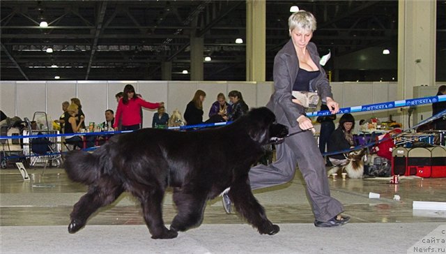 Фотография № 92822