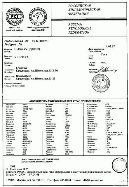 Фото: ньюфаундленд Ульрика
