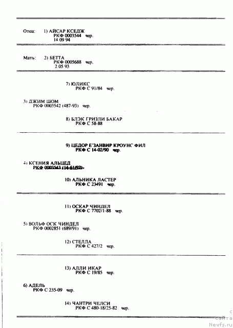 Фото: ньюфаундленд Ульрика