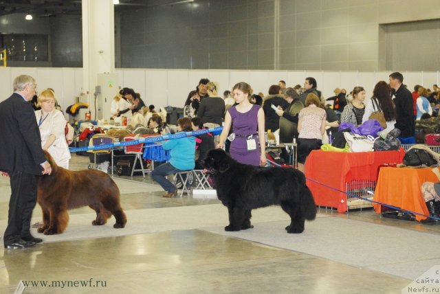 Фотография № 92848