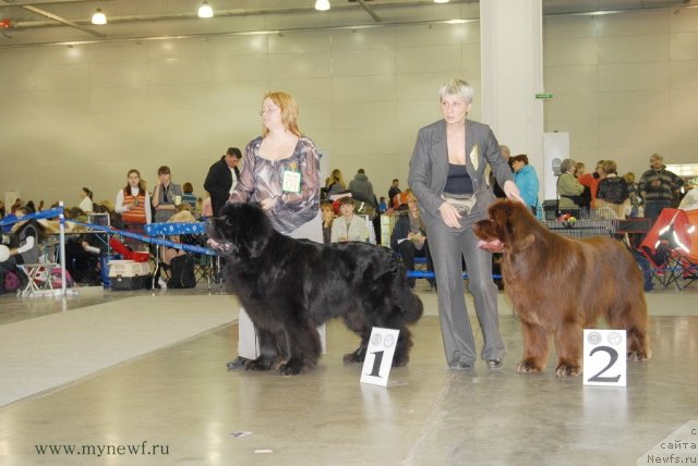 Фотография № 92857