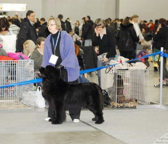 Фотография № 92862