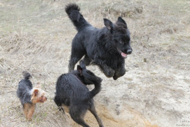 Фотография № 92863