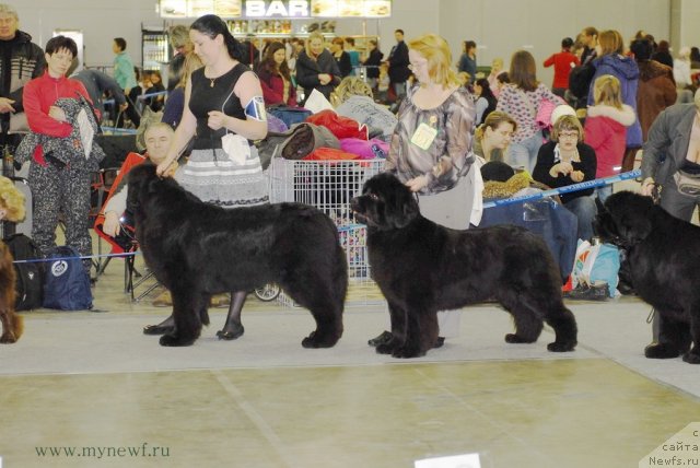 Фотография № 92864